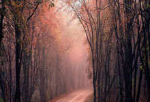 征途国际：体坛：印尼队欲6月提前集训迎战国足；归化后防豪言对阵中国拿3分.