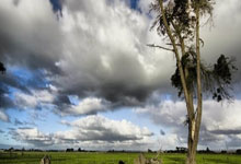 征途国际：比塞克：丢球并不是我一个人的问题；入选德国队给了我信心.