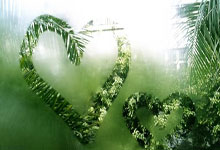 林孝埈因伤退赛！范可新将主场复出北京晚报.