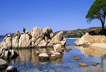 2026年冬奥会新增项目滑雪登山奥运测试赛开赛2025-02-24.